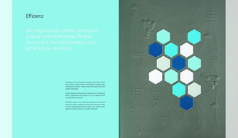 SRH控股2013年度报告画册设计分享 - 上海画册设计公司与软件开发协同创新