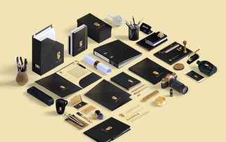 黑色风范，智启未来 以'S'字母为核心的企业VI系统与品牌销售软件开发一体化策略